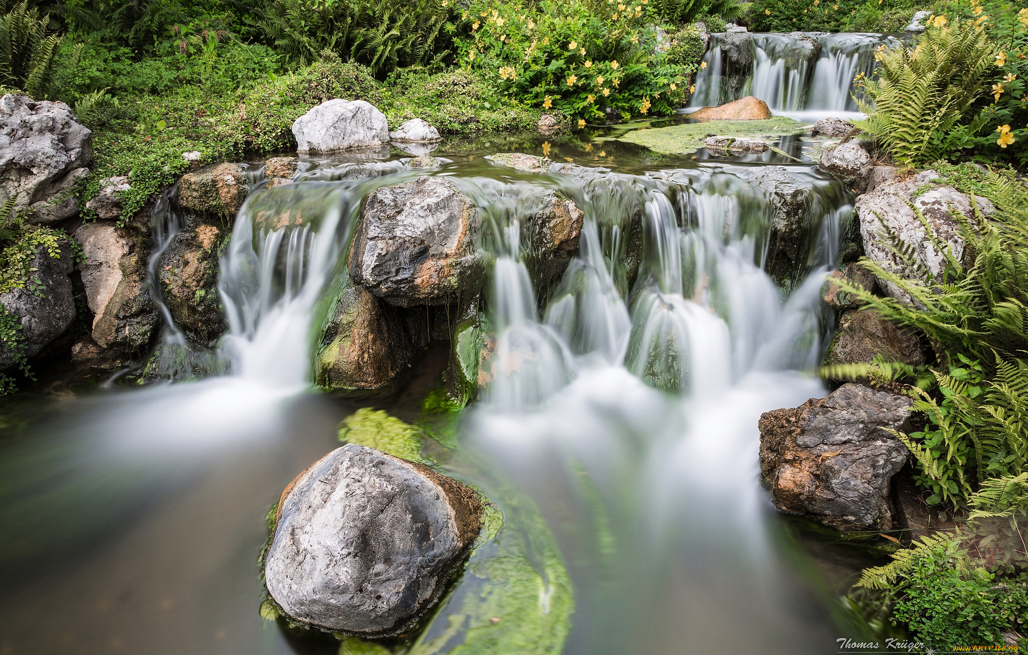 setagaya, park, japanese, garden, vienna, austria, , , , , , , , 